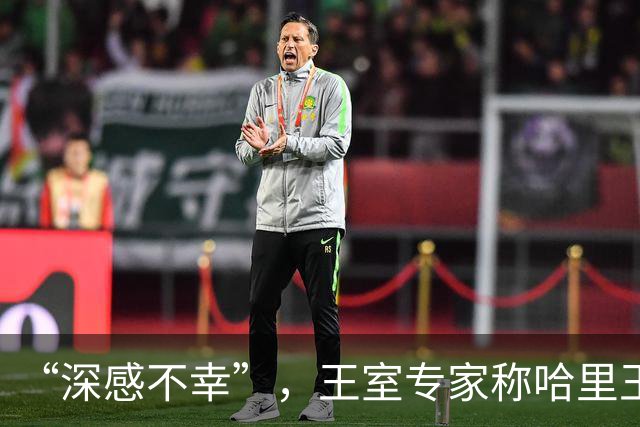 “深感不幸”，王室专家称哈里王子与梅根婚姻或濒临破裂