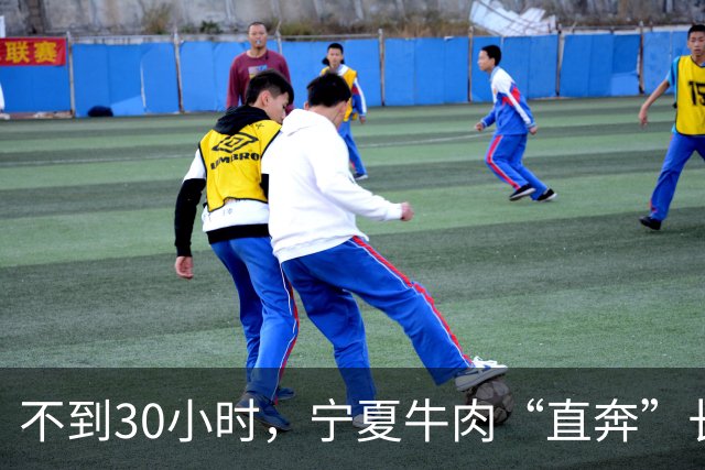 不到30小时，宁夏牛肉“直奔”长三角餐桌 ｜活力中国调研行