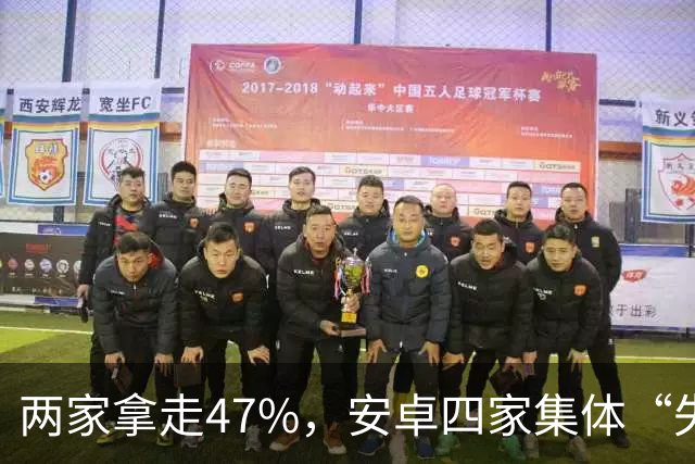 两家拿走47%，安卓四家集体“失血”：手机市场变成两个人的游戏
