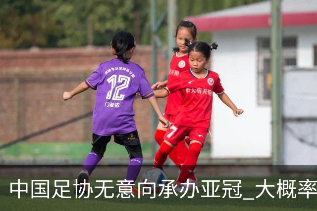 中国足协无意向承办亚冠 大概率继续在卡塔尔踢