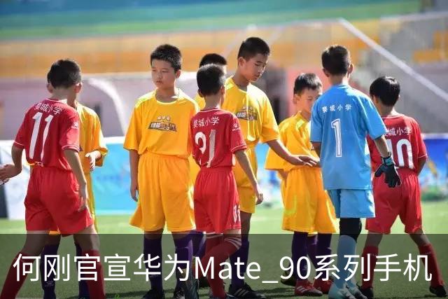何刚官宣华为Mate 90系列手机“双十一”三大焕新权益，全系可享至高24期分期免息等