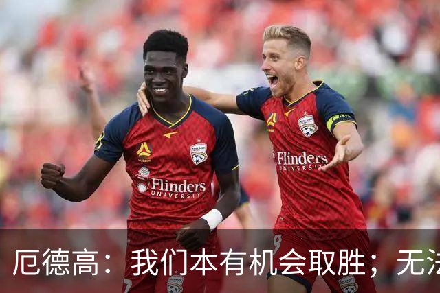 厄德高：我们本有机会取胜；无法赢球时至少要确保拿到平局