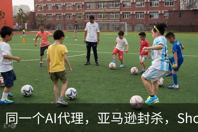 同一个AI代理，亚马逊封杀，Shopify接入