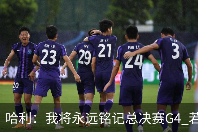 哈利：我将永远铭记总决赛G4 若赢下那场比赛系列赛走向会改变