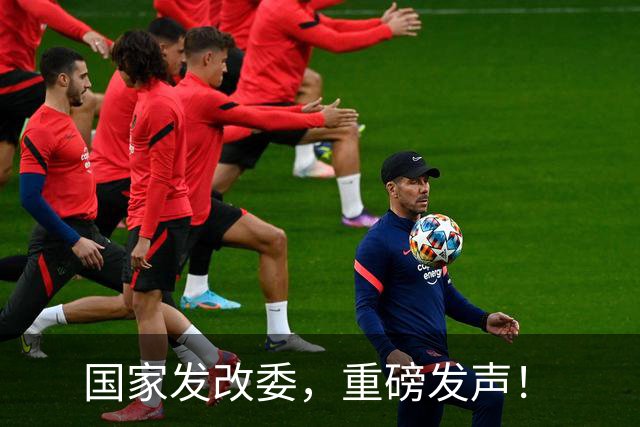 国家发改委，重磅发声！