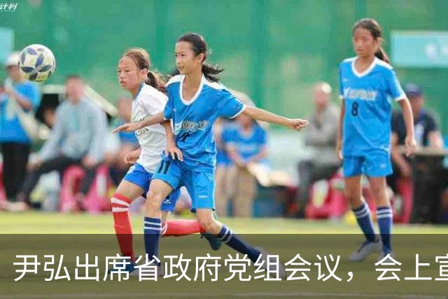 尹弘出席省政府党组会议，会上宣布省委关于省政府党组书记任职的决定