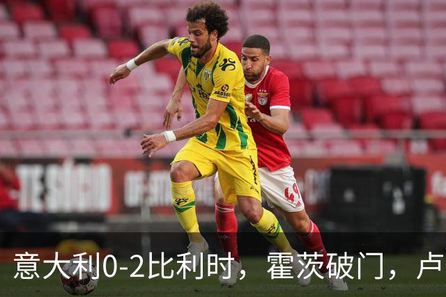 意大利0-2比利时，霍茨破门，卢克巴吉奥建功，德布劳内助攻