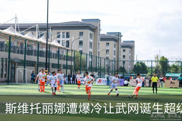 斯维托丽娜遭爆冷让武网诞生超级黑马，霍达尔领走上海逆转王头衔