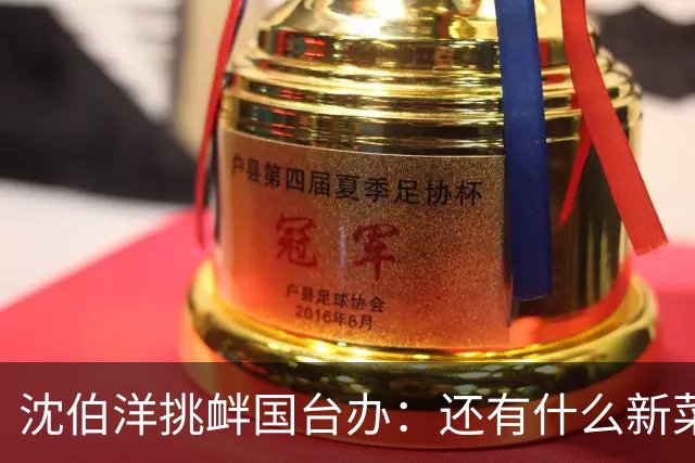 沈伯洋挑衅国台办：还有什么新菜？
