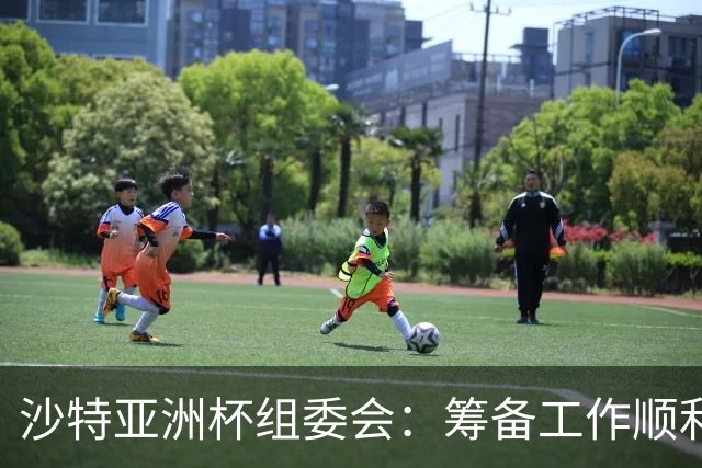 沙特亚洲杯组委会：筹备工作顺利进行 对成功举办充满信心