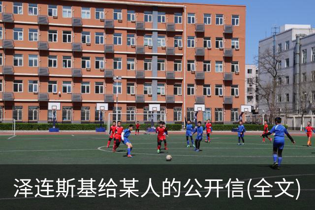 泽连斯基给某人的公开信(全文)