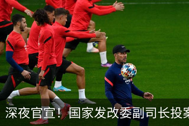深夜官宣！国家发改委副司长投案，深耕环保系统34年终落马