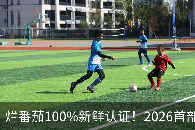 烂番茄100%新鲜认证！2026首部