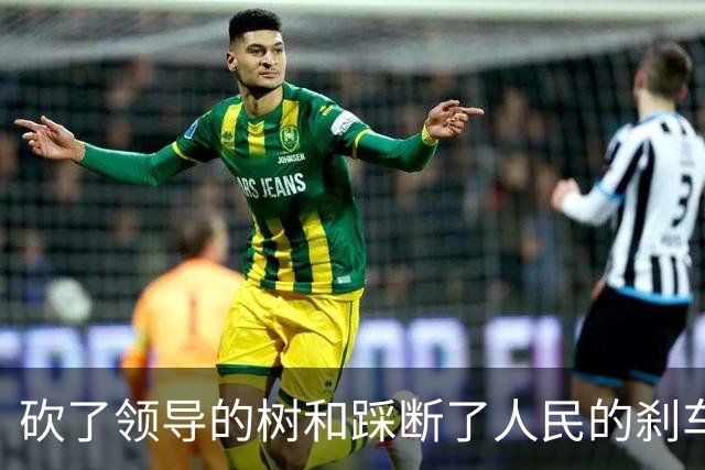 砍了领导的树和踩断了人民的刹车