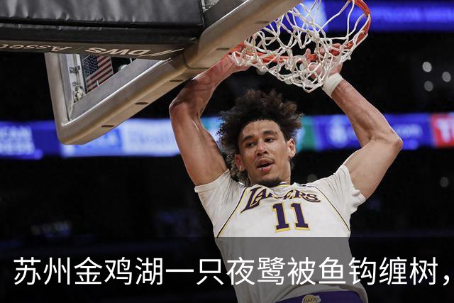 苏州金鸡湖一只夜鹭被鱼钩缠树，市民爬树救下，“有6个鱼钩，脚和翅膀全被钩住”，公园称此处并非垂钓点