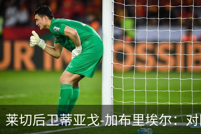 莱切后卫蒂亚戈-加布里埃尔：对阵米兰很困难；留队很特别