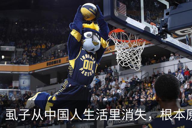 虱子从中国人生活里消失，根本原因不是爱干净，真相让人傻眼