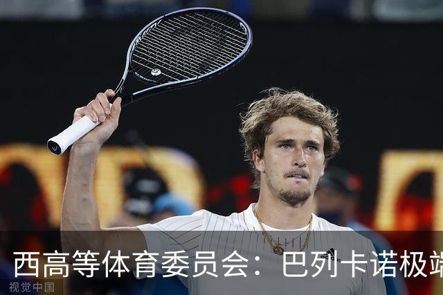 西高等体育委员会：巴列卡诺极端球迷被建议罚款+禁止入球场