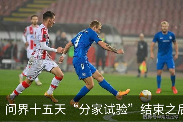 问界十五天“分家试验”结束之后