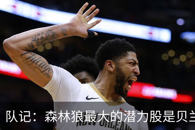 队记：森林狼最大的潜力股是贝兰热 管理层和教练组对他评价很高