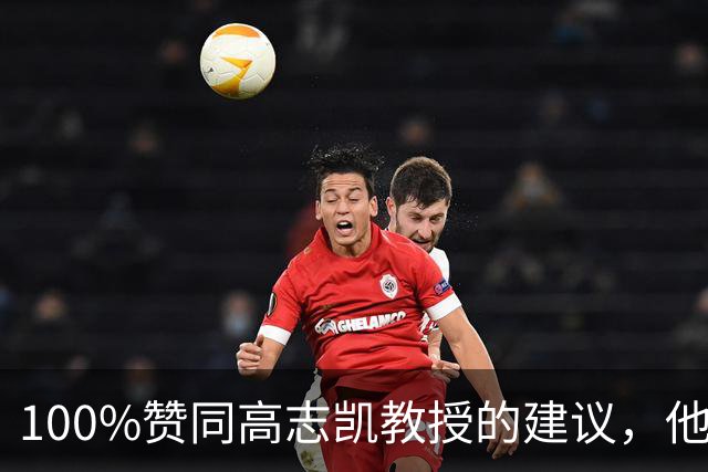 100%赞同高志凯教授的建议，他提议：大陆应该在台湾招募有志青年