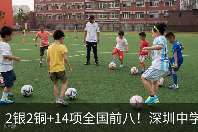 2银2铜+14项全国前八！深圳中学游泳队闪耀全国赛场