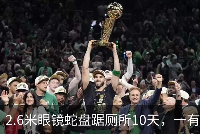 2.6米眼镜蛇盘踞厕所10天，一有动静就钻下水道，男子装监控蹲点6天“露头就秒”：蛇一出现就弹出提醒，配合消防成功抓获
