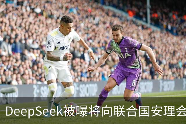 DeepSeek被曝将向联合国安理会作通报 梁文锋或不出席